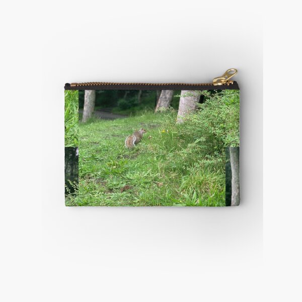 Item preview, Grey Squirrel designed and sold by riverhag.
