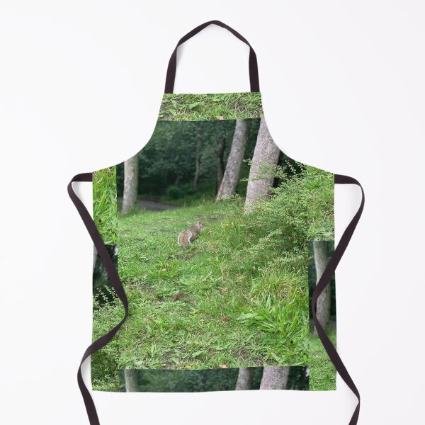Item preview, Grey Squirrel designed and sold by riverhag.