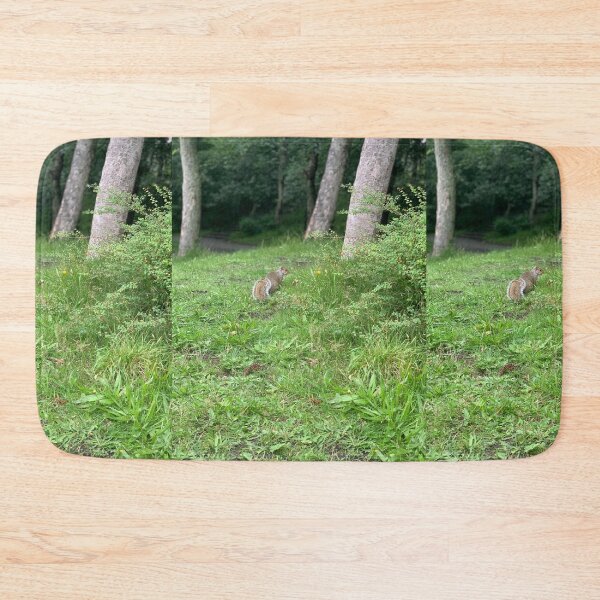 Item preview, Grey Squirrel designed and sold by riverhag.