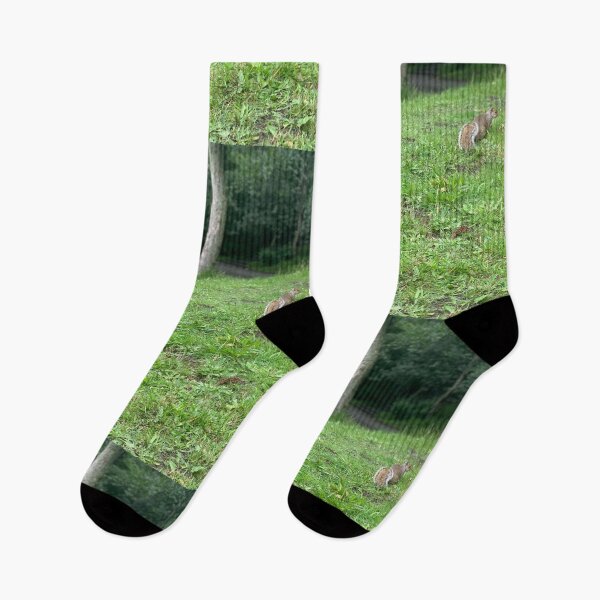 Item preview, Grey Squirrel designed and sold by riverhag.