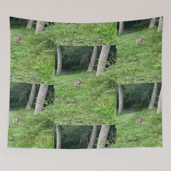 Item preview, Grey Squirrel designed and sold by riverhag.