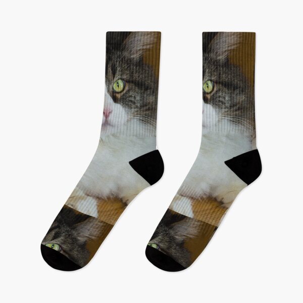 Item preview, Cat Daze designed and sold by mljdwhite.