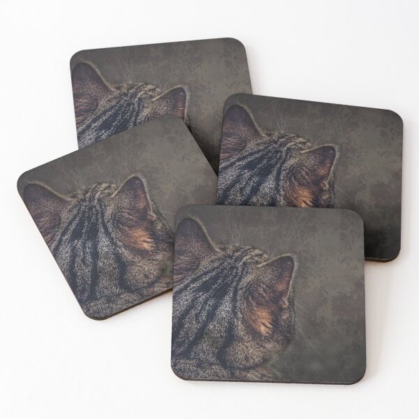 Item preview, kitty designed and sold by amfphotography.