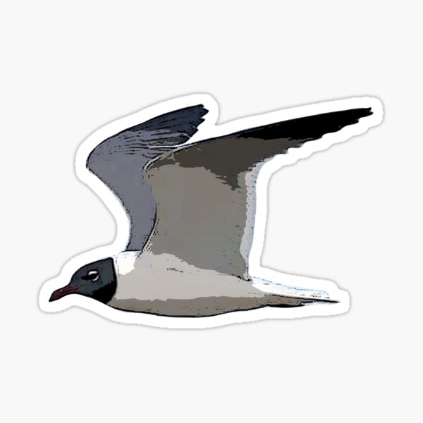 Item preview, Laughing Gull Color Print  designed and sold by designsasstultd.
