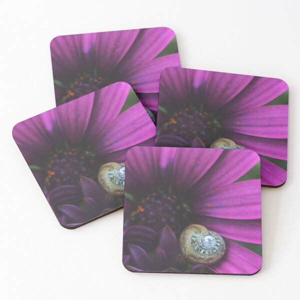 Item preview, Haven designed and sold by Cloudlingpics.