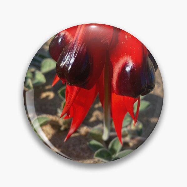 Item preview, sturt pea designed and sold by lifelifestyle.