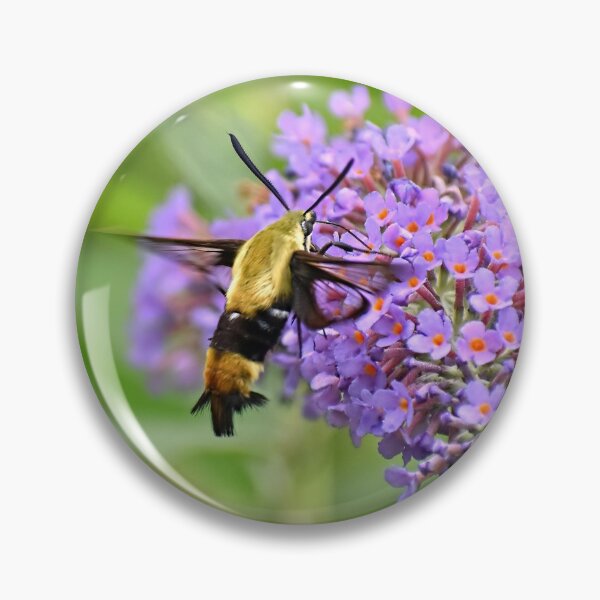 Item preview, The Elusive Hummingbird Moth designed and sold by Lanis Rossi.