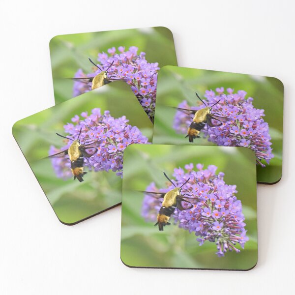 Item preview, The Elusive Hummingbird Moth designed and sold by Lanis Rossi.
