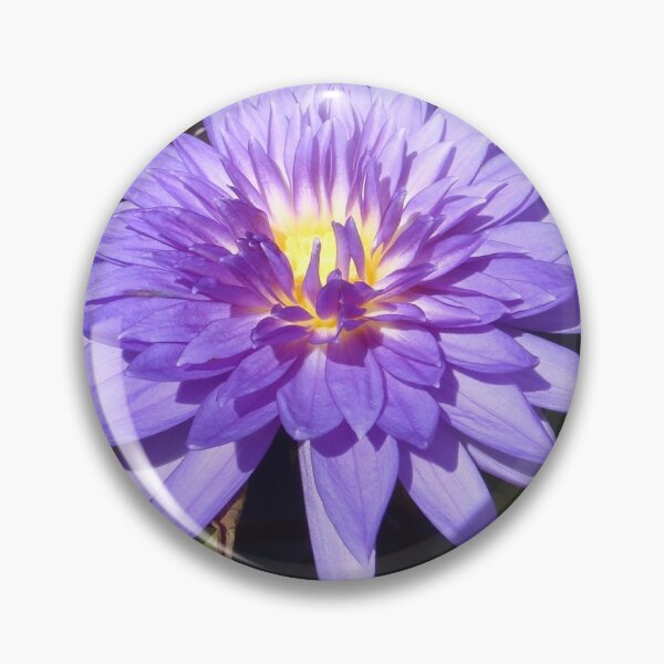 Item preview, King of Siam tropical Day Blooming waterlily designed and sold by greengoodnich.