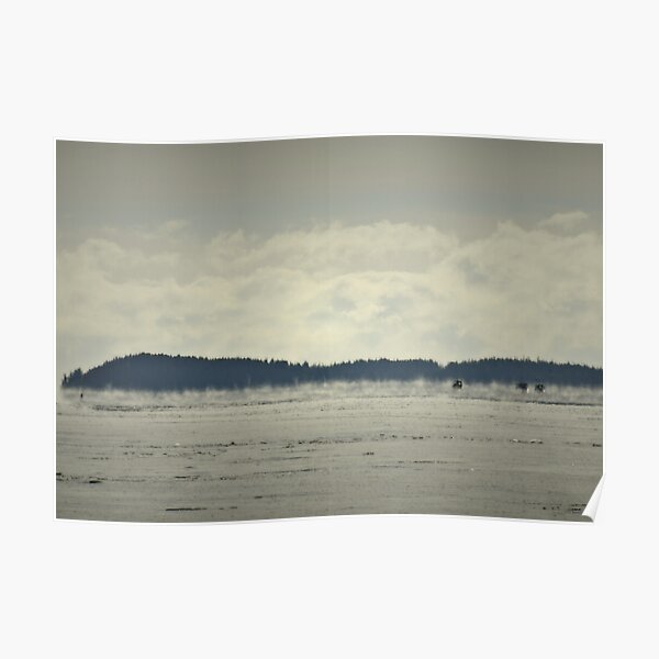 Fog Poster