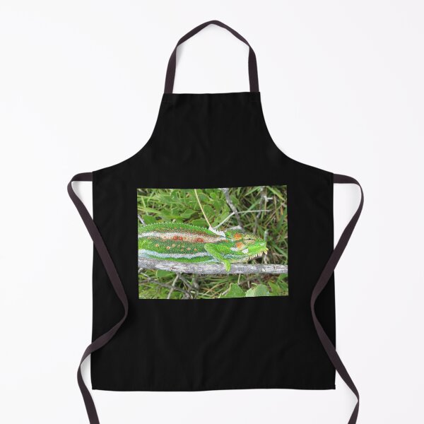 Item preview, Cape Dwarf Chameleon designed and sold by BiodiversityRocks.