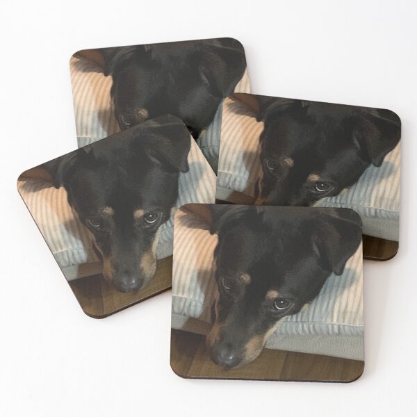 Item preview, My dog trunks  designed and sold by GABRIEL NUNEZ.