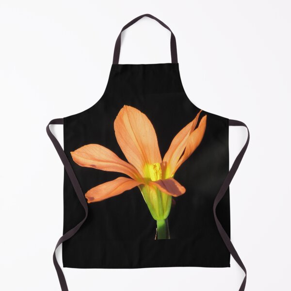 Item preview, Moraea collina designed and sold by BiodiversityRocks.