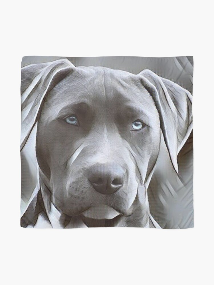 pit bull dog design for blue nose pitbull lovers will love this beautiful painting of this gentle breed scarf by switchbitch redbubble