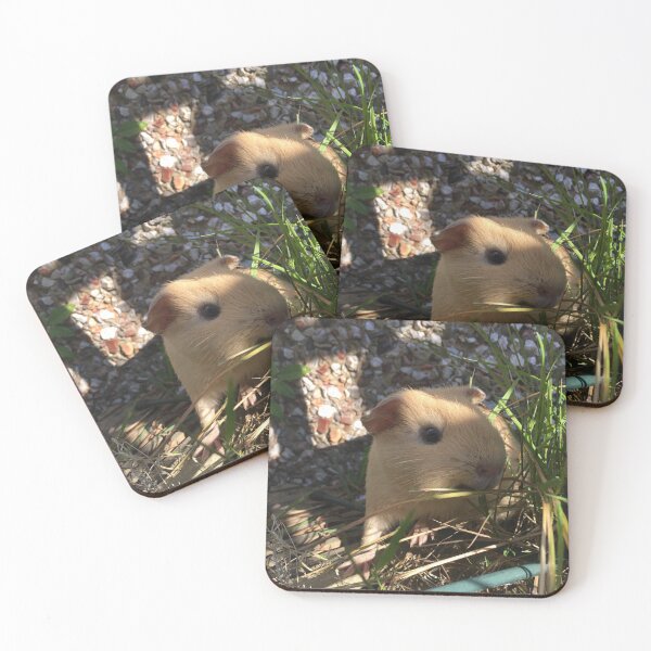 Item preview, Guinea pig 1 designed and sold by riverhag.