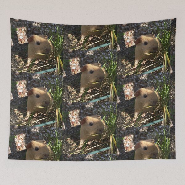 Item preview, Guinea pig 1 designed and sold by riverhag.