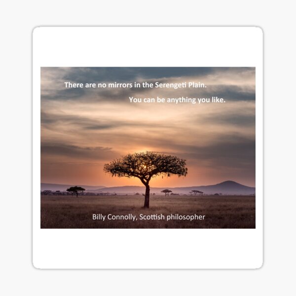 You can be anything you like. Sticker