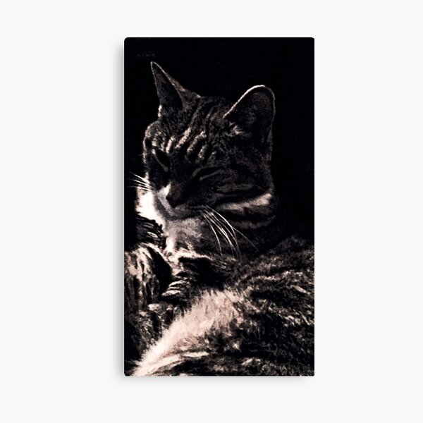 Chic Cat Canvas Print