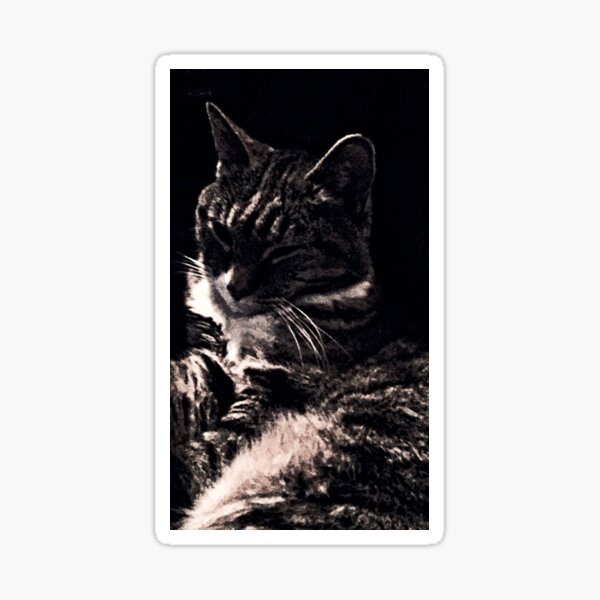 Chic Cat Sticker