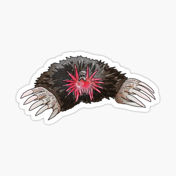 Item preview, Star nosed mole.  designed and sold by Pongidae.