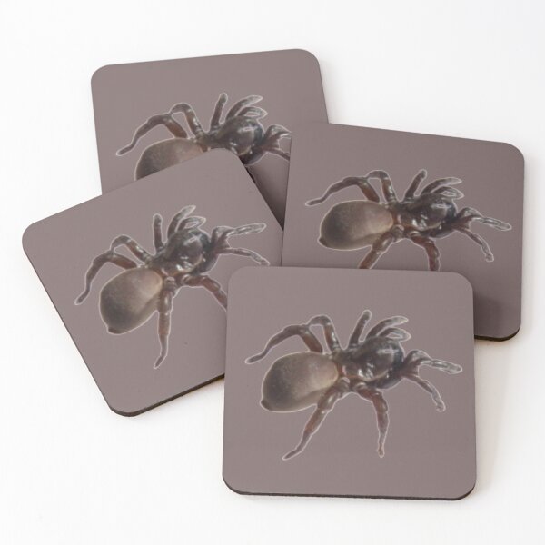 Item preview, Cute Spider designed and sold by blackcatdream.
