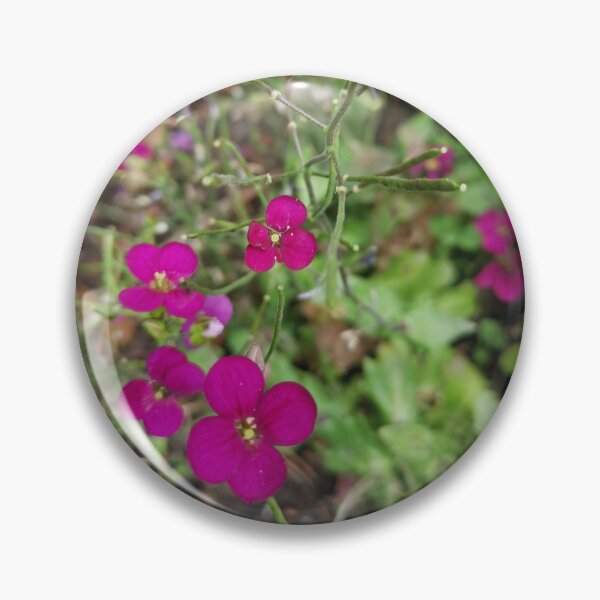 Artikelvorschau, Rosa Blumenbild entworfen und verkauft von Sandra78.