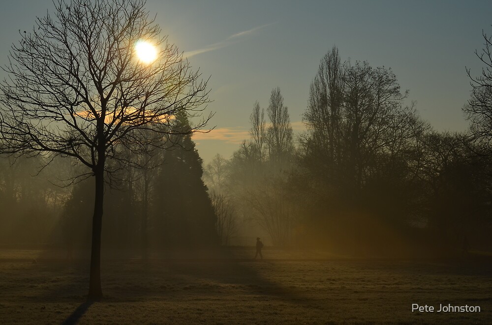 "Misty morning fog, Hyde Park, London, England" by Pete ...