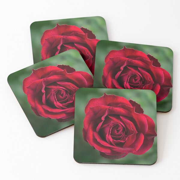 Item preview, Red rose on green background designed and sold by leonbrouwer.