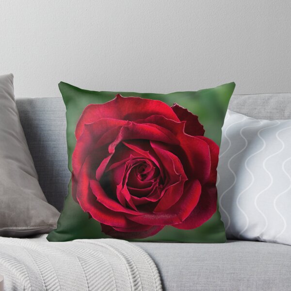 Item preview, Red rose on green background designed and sold by leonbrouwer.