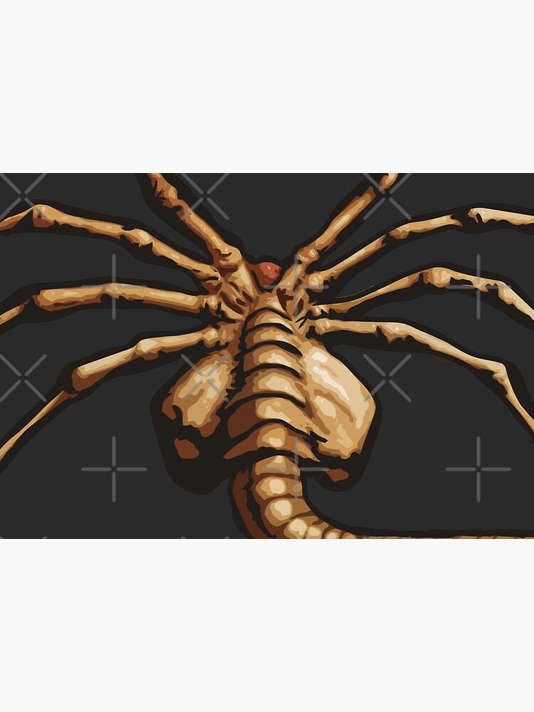 "Facehugger Halloween costume" Mask for Sale by haz5077 Redbubble
