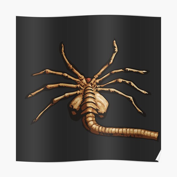 "Facehugger Halloween costume" Poster for Sale by haz5077 Redbubble