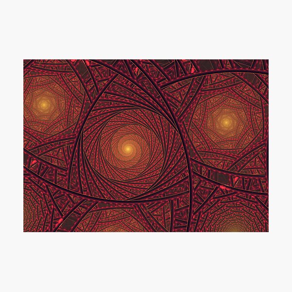 Webs Photographic Print