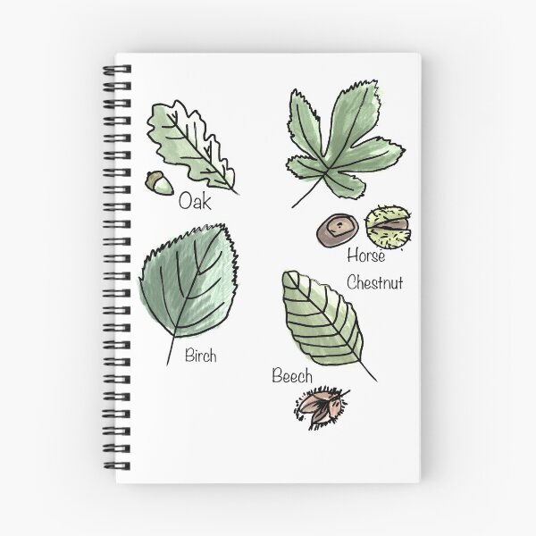Item preview, Leaves identification designed and sold by Digirosedesigns.