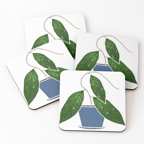 Item preview, Hoya finlaysonii  designed and sold by GelsGarden.