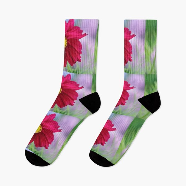 Item preview,  Carmine Pink Cosmos Bloom. designed and sold by John Ray.