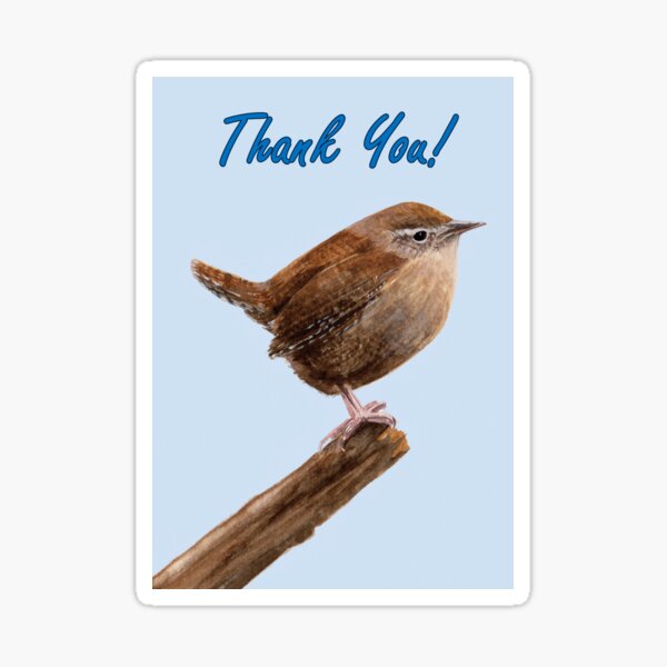 Jenny Wren - Thank You Card Sticker