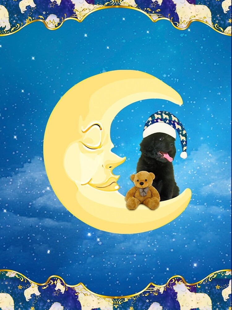 Night Night Little Newfie by itsmechris