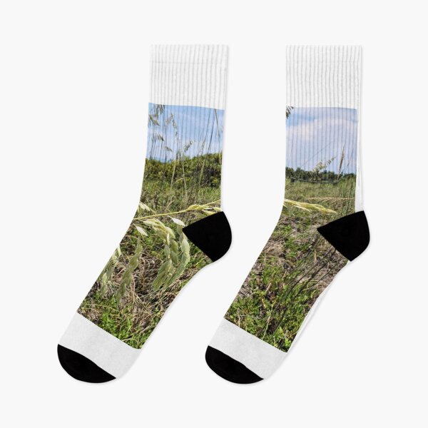 Item preview, Sea Oats - Tybee Island designed and sold by jtrommer.