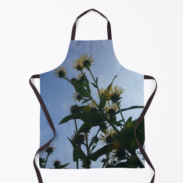 Item preview, Elecampane in flower 1 designed and sold by paulboizot.
