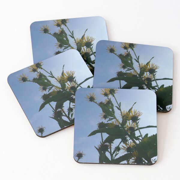 Item preview, Elecampane in flower 1 designed and sold by paulboizot.