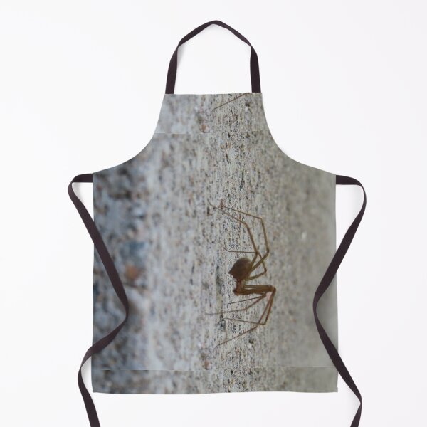 Item preview, Arachnid designed and sold by WanderingBark.