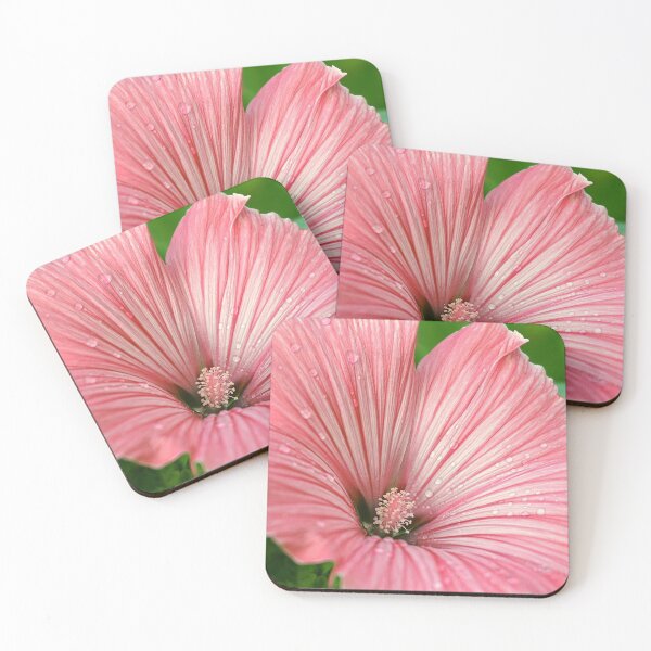 Item preview, Nature's beauty designed and sold by Divyata.