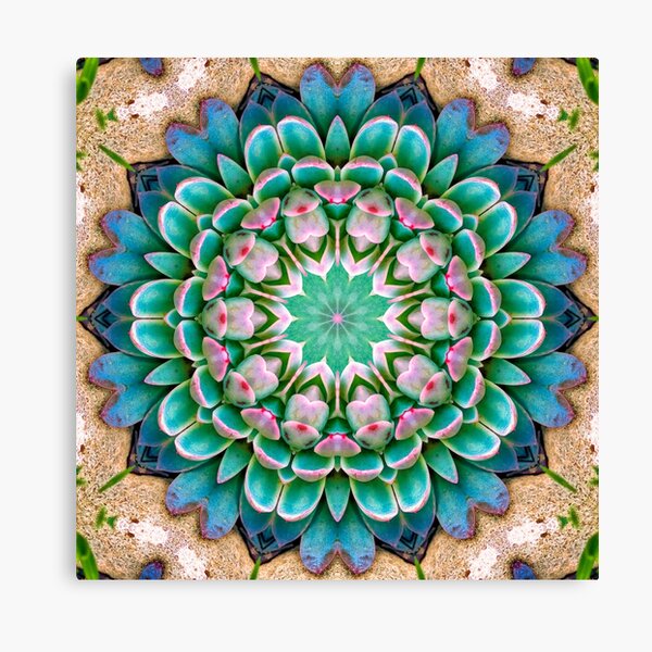 Item preview, Succulent Mandala in Fuscia and Green designed and sold by Sara Graham-Costain.