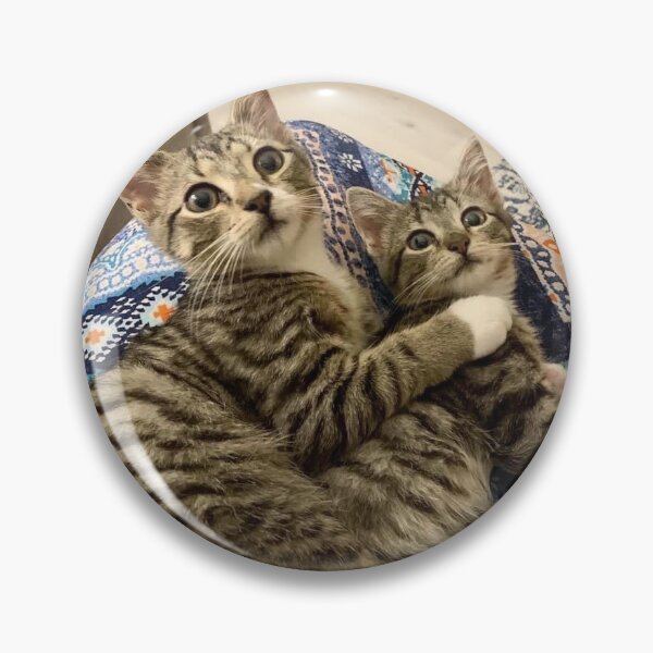 Item preview, Brother and Sister Kittens designed and sold by JennyBenny318.