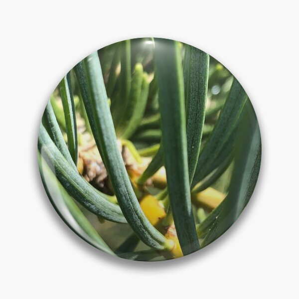Item preview, Pine Tree Needles Nature designed and sold by Kaushal Pal.