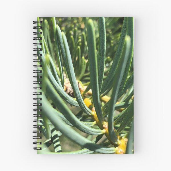 Item preview, Pine Tree Needles Nature designed and sold by Kaushal Pal.