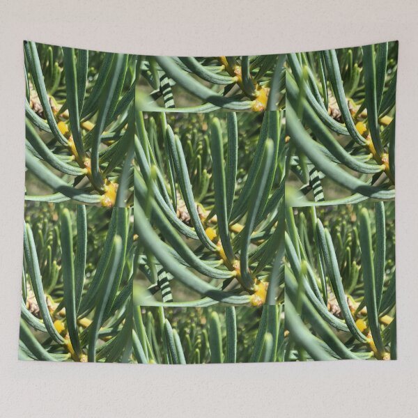 Item preview, Pine Tree Needles Nature designed and sold by Kaushal Pal.