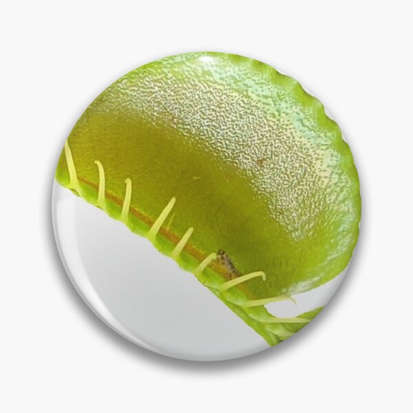 Item preview, Venus Flytrap designed and sold by Abe Hasner.