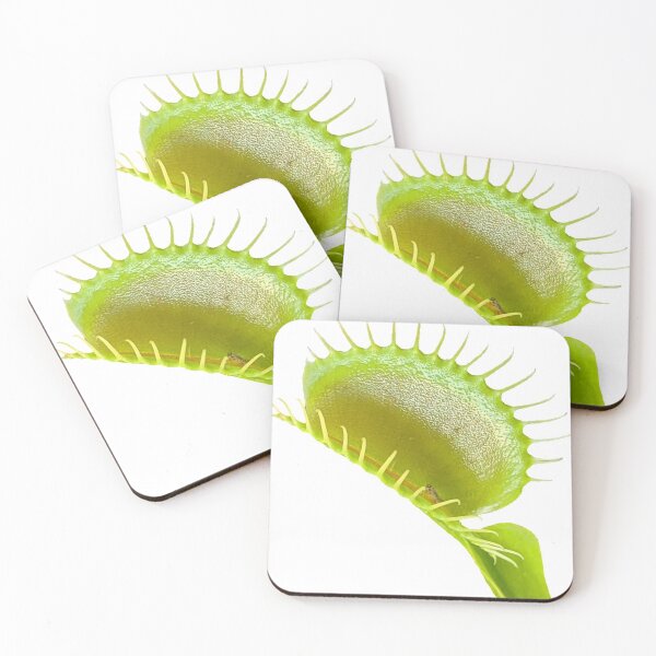 Item preview, Venus Flytrap designed and sold by Abe Hasner.