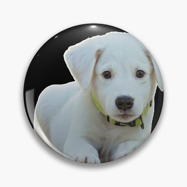 Item preview, Puppy cute designed and sold by Meme-shirt.